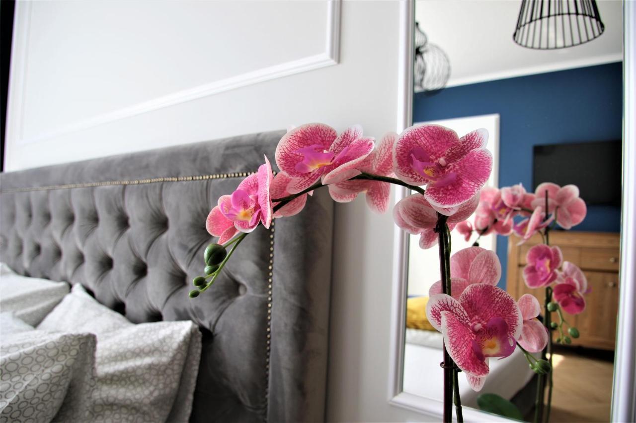 Apartamenty Royal Maris 1 - Najlepsza Lokalizacja W Ustce, Blisko Plazy I Portu, Bezplatny Parking, Scisle Centrum อุสตกา ภายนอก รูปภาพ